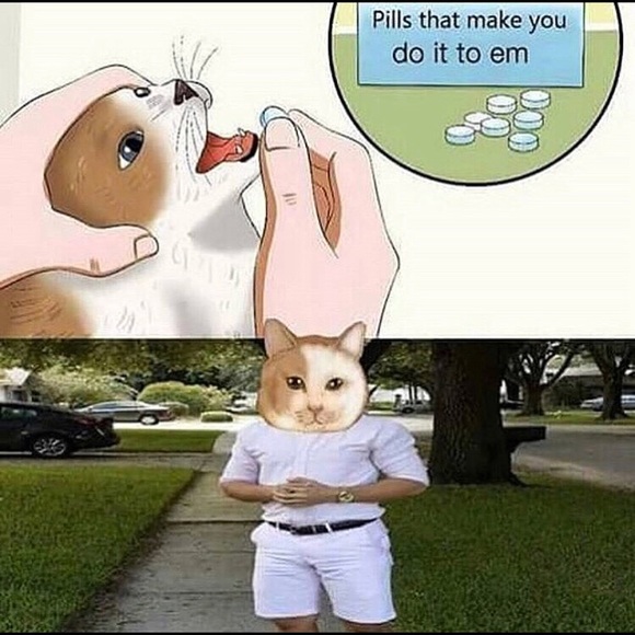 Profile Picture of Heffy Daniels (@reptilebro) on Poshmark