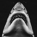 D’Asia Tate - Instagram Profile Picture of D’Asia Tate (@dasiashark) on Instagram