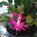 Profile Picture of Jean Cahill (@jean.cahill.1804) on Facebook