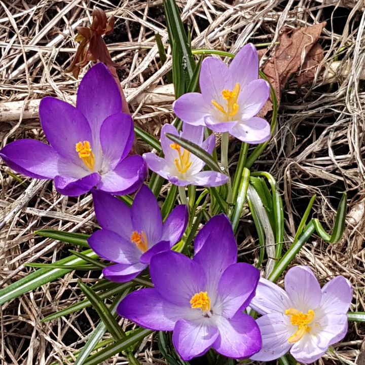 Profile Picture of Nancy_kriger (@nancy_kriger) on Tiktok