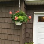 Profile Picture of Carol Rosenberger Colwell (@carms1223) on Instagram