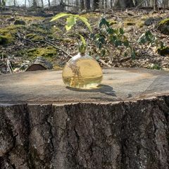 Profile Picture of patrickcocchiarel (@patrickcocchiarel) on Tiktok