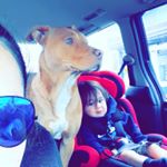 Profile Picture of roberta Edwards (@restinpeacenike) on Instagram