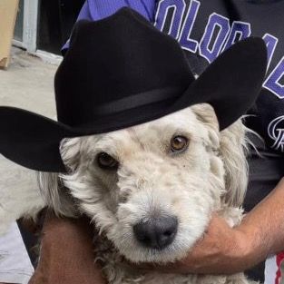 Profile Picture of Serapio Garcia (@serapio.garcia1) on Tiktok