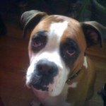 Profile Picture of David Arnett (@darnett74) on Instagram