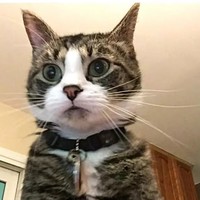 Profile Picture of Seth Bateman (@seth-bateman-1) on Quora