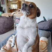 Profile Picture of Darren Marsh (@firebladedaz) on Youtube