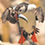 Profile Picture of Brian Johnston (@brianj2008) on Flickr