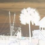 Profile Picture of Dwayne Small (@dwayne.small.165) on Instagram