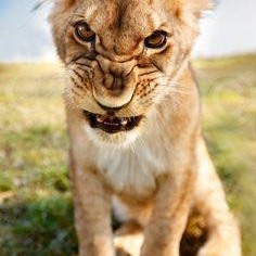 Profile Picture of John Bertrand (@John-Bertrand) on Facebook