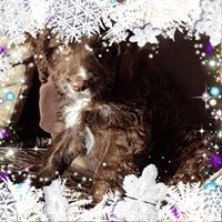 Profile Picture of Jo Wyatt (@jo-wyatt-2) on Quora