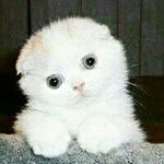 Profile Picture of paige (@paige.brocket) on Instagram