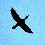 Profile Picture of Daniel Meza (@danielblackmore) on Flickr