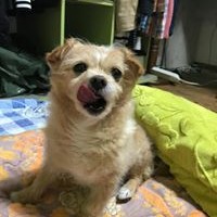 Profile Picture of Youngjoon Kim (@youngjoon-kim-8) on Quora