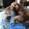 Profile Picture of Ernest Crabtree (@ernest.crabtree.50) on Facebook