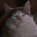 Profile Picture of Lily Winzar (@lilywinzar) on Pinterest