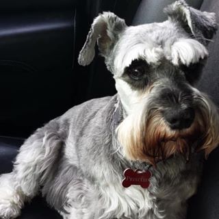 Profile Picture of Larry Bojarski (@larry.bojarski.7) on Facebook