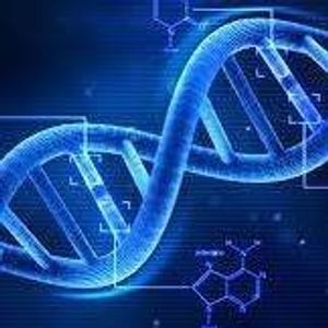 Profile Picture of Khalil Ullah (@maira.baloch.545) on Myspace