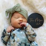 Profile Picture of Thu-Mai Ula Nguyen-Samkus (@little.bao.ula) on Instagram