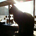 Profile Picture of Chiu Yin Hui (@chiuyinhui) on Instagram