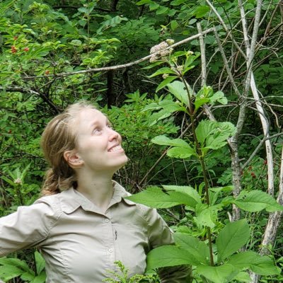 Profile Picture of Katherine Holmes (@kdhecology) on Twitter