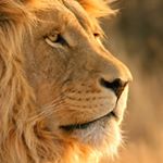 Profile Picture of James Lightbourne 🇧🇸 (@jl.242) on Instagram