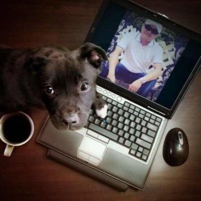 Profile Picture of Kumar Sambahangphe (@David62705738) on Twitter