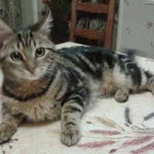 Profile Picture of Janine Denis (@DenisJanine) on Twitter