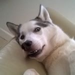 Profile Picture of Mike Stansfield (@stanzie69) on Instagram