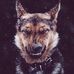 Profile Picture of Edward Dering (@edward.dering.7) on Facebook