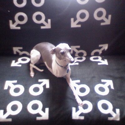 Profile Picture of Benjamin McNutt (@SinewsOfDaHeart) on Twitter