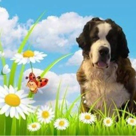 Profile Picture of Melinda Ruszczyk (@mrus617) on Poshmark