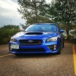 peter roque - Instagram Profile Picture of peter roque (@spider_sti17) on Instagram
