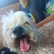 Jacob Arellano - Youtube Profile Picture of Jacob Arellano (@Jacobarellano420) on Youtube