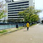 Profile Picture of 櫻屋 (@levi_wallsina) on Instagram