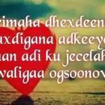 Profile Picture of Aniso Alisha (@aniso_alisha) on Instagram