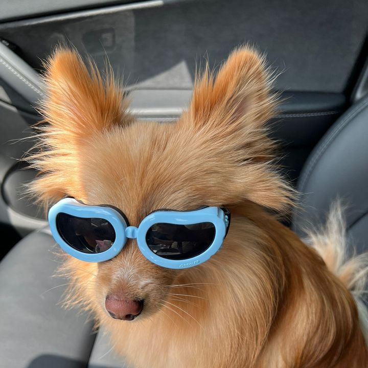 Profile Picture of brian (@brianlers) on Tiktok