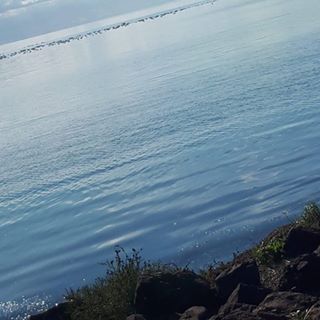 Profile Picture of Mccutcheon Jacob (@mccutcheon.jacob) on Facebook