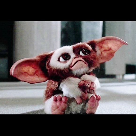 Profile Picture of Benjamin Perocier (@gizmothegremlin) on Poshmark