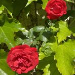 Profile Picture of Ania Soukup (@Ania-Soukup) on Facebook