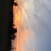 Profile Picture of Amanda (@@amandamcdade12) on Tiktok