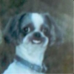 Profile Picture of Brendan Geary (@eXiTVbro) on Twitter