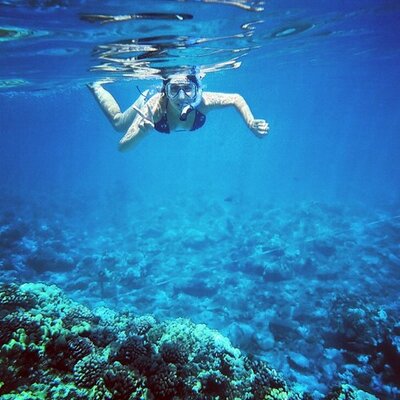 Profile Picture of Toby Manuel (@TobyManuel528) on Twitter