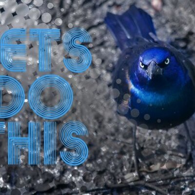 Profile Picture of Samuel D Ingraham (@SamIngraham) on Twitter