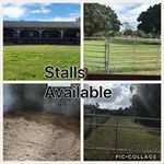 Profile Picture of Pegasusb Crystal Stables (@pegasusbstables) on Instagram