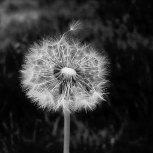 Jerica Raines - Myspace Profile Picture of Jerica Raines (@261707686) on Myspace