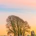 Profile Picture of Thomas Askey (@thomas.askey.792) on Facebook