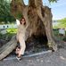 Profile Picture of Lara Kruse (@lara.kruse.1466) on Facebook