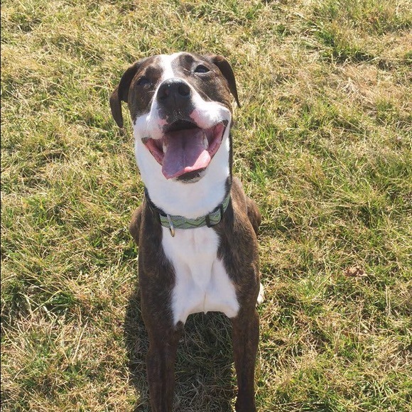 Profile Picture of Patrick Northrup (@pnorthrup426) on Poshmark