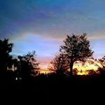 Profile Picture of Alicia Colella (@alicia.colella2) on Instagram